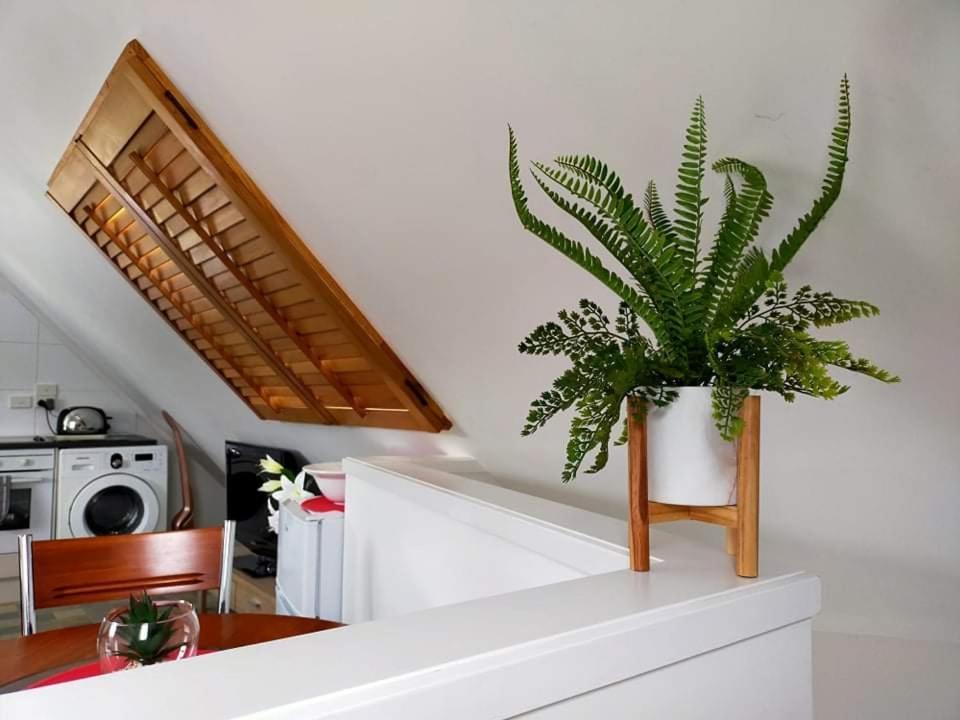 Studio On Golders - Two Minutes To The Lake And Quick Drive To Town! Taupo Exterior photo